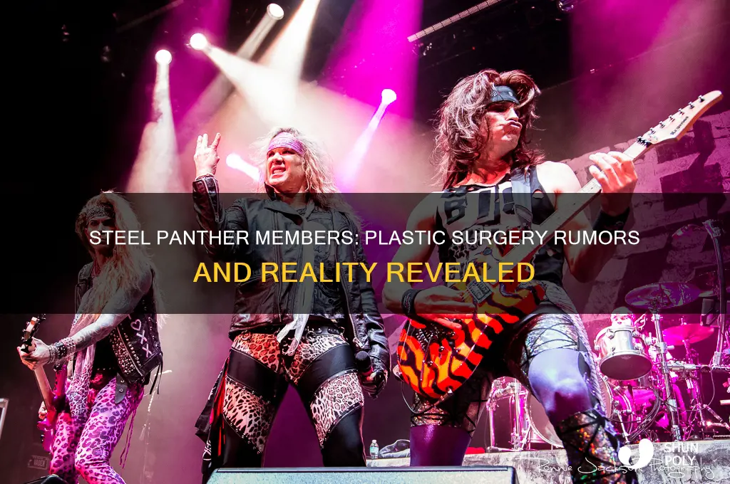 did the steel panther guys get plastic surgery