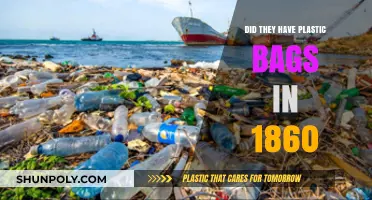 The Evolution of Plastic Bags: Pre-1860 to Now