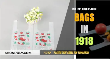 Plastic Bags in 1918: Did They Exist?
