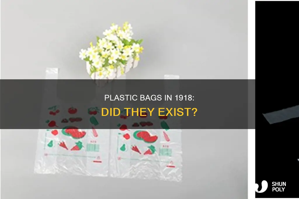 did they have plastic bags in 1918
