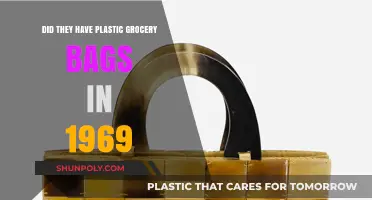 Plastic Bags: 1969 and Beyond