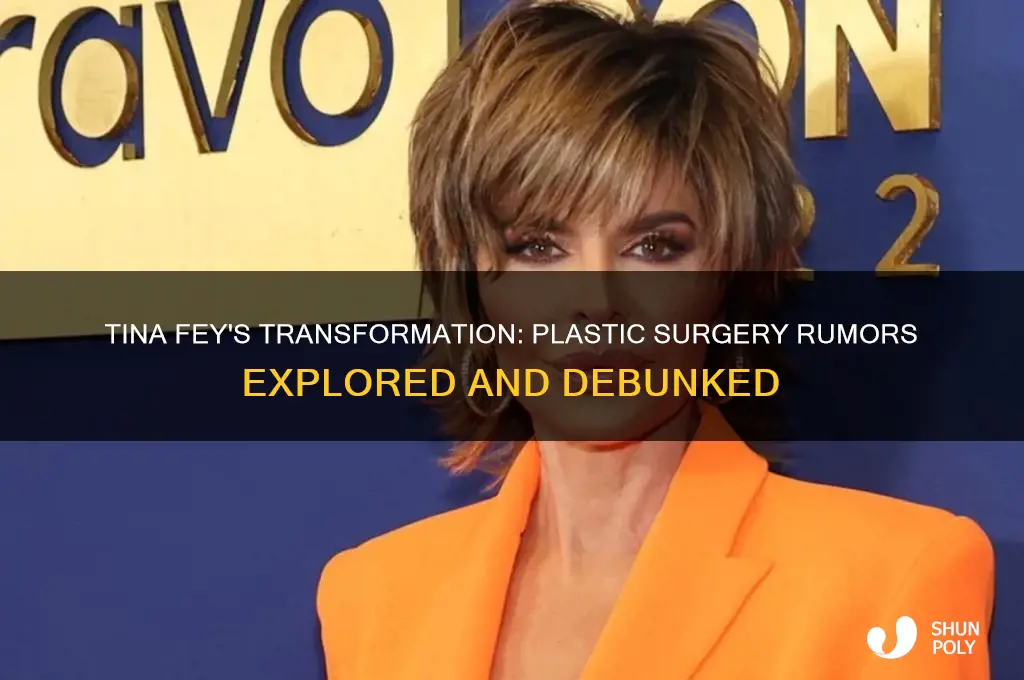 did tina fey have plastic surgery