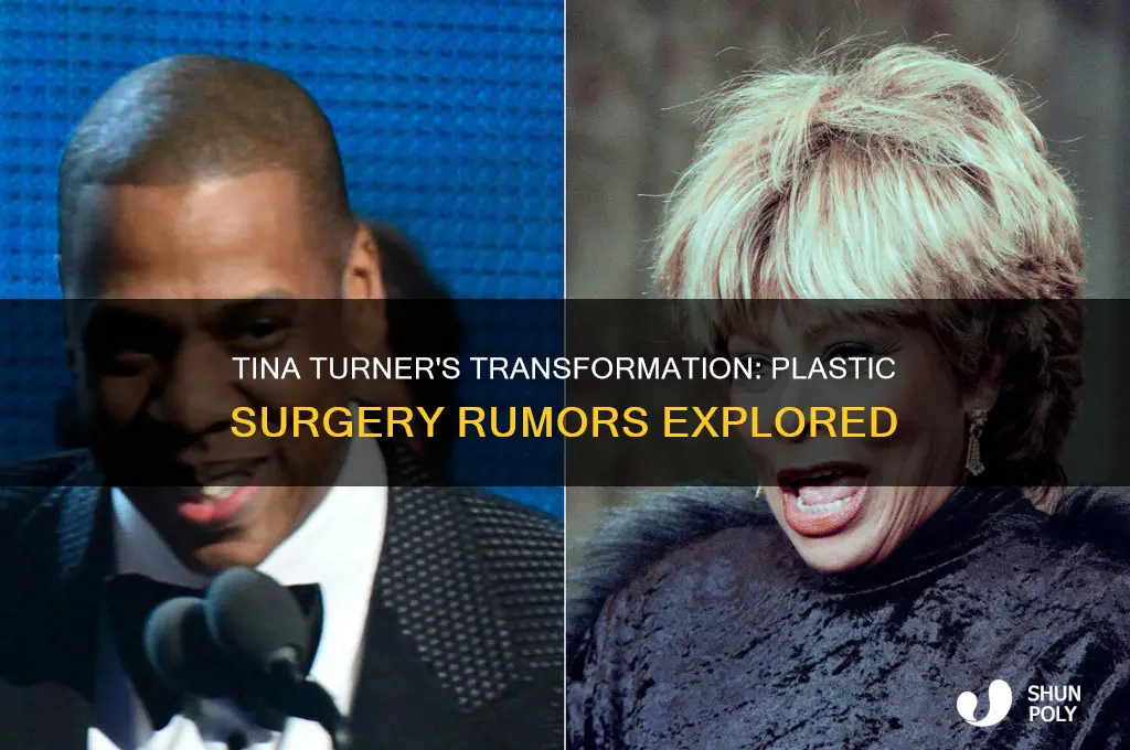 did tina turner ever have plastic surgery
