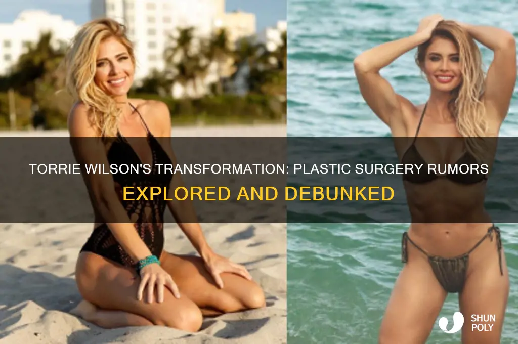did torrie wilson get plastic surgery