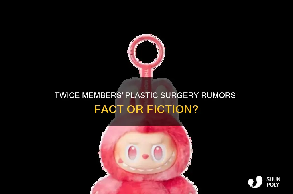 did twice members get plastic surgery