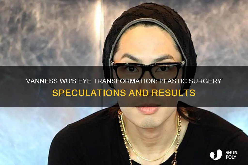 did vanness wu plastic surgery on eyes before and after