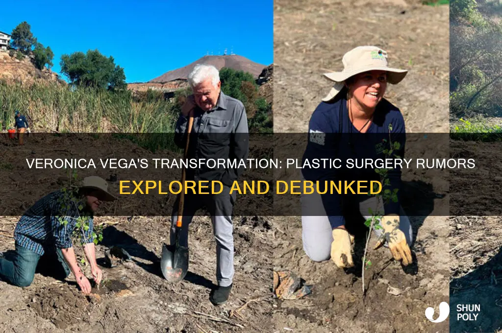 did veronica vega have plastic surgery