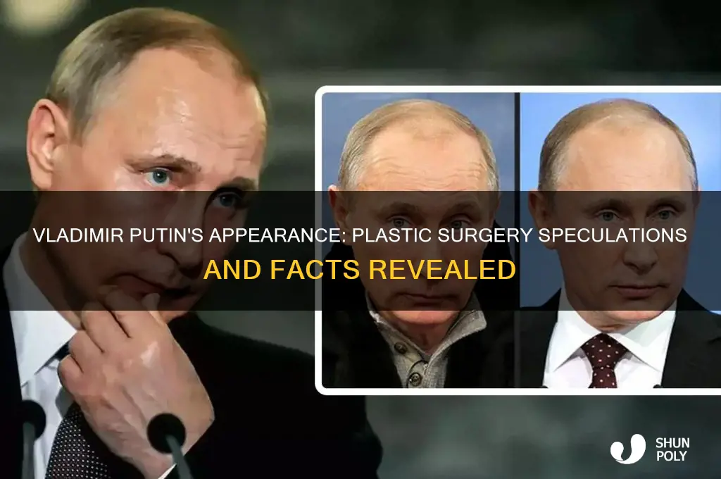 did vladimir putin have plastic surgery