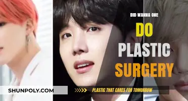 Wanna One Plastic Surgery Rumors: Fact-Checking the Speculations
