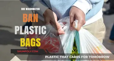 Washington's Plastic Bag Ban: What You Need to Know