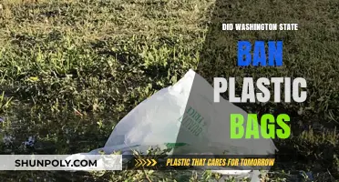Washington State's Plastic Bag Ban: What You Need to Know