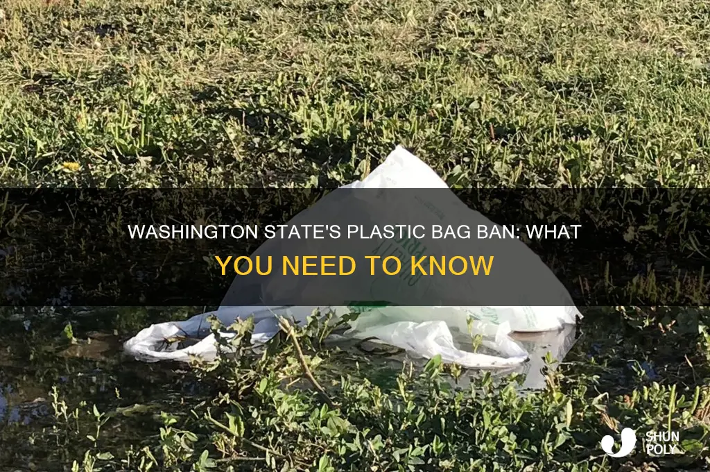 did washington state ban plastic bags