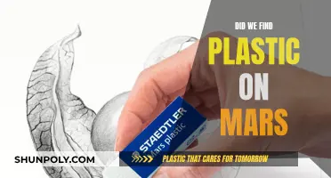 Plastic on Mars: Have We Polluted the Red Planet?