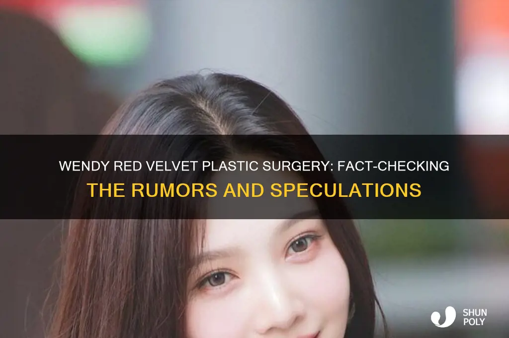 did wendy red velvet get plastic surgery