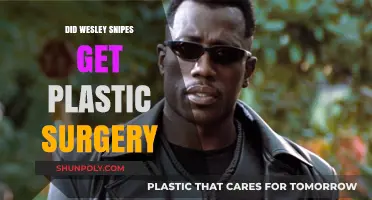 Wesley Snipes Plastic Surgery: Fact-Checking the Transformation Rumors