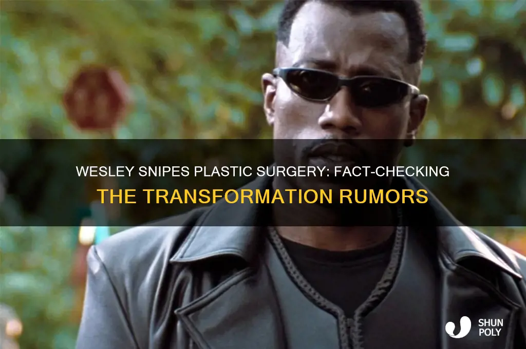 did wesley snipes get plastic surgery