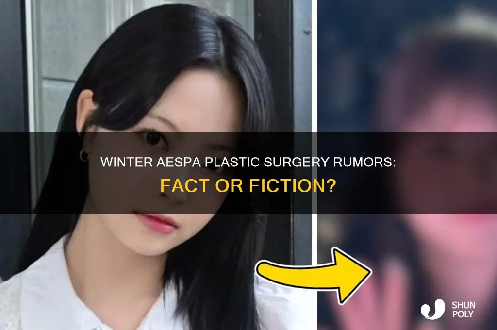 did winter aespa get plastic surgery