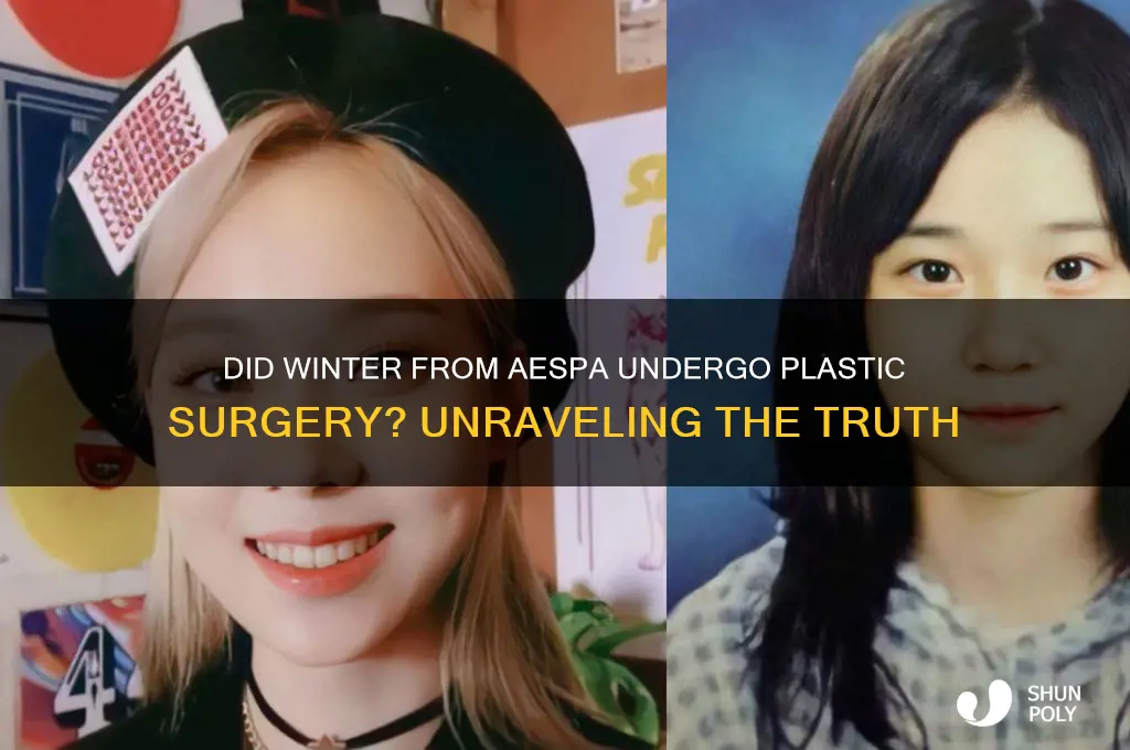 did winter get plastic surgery aespa