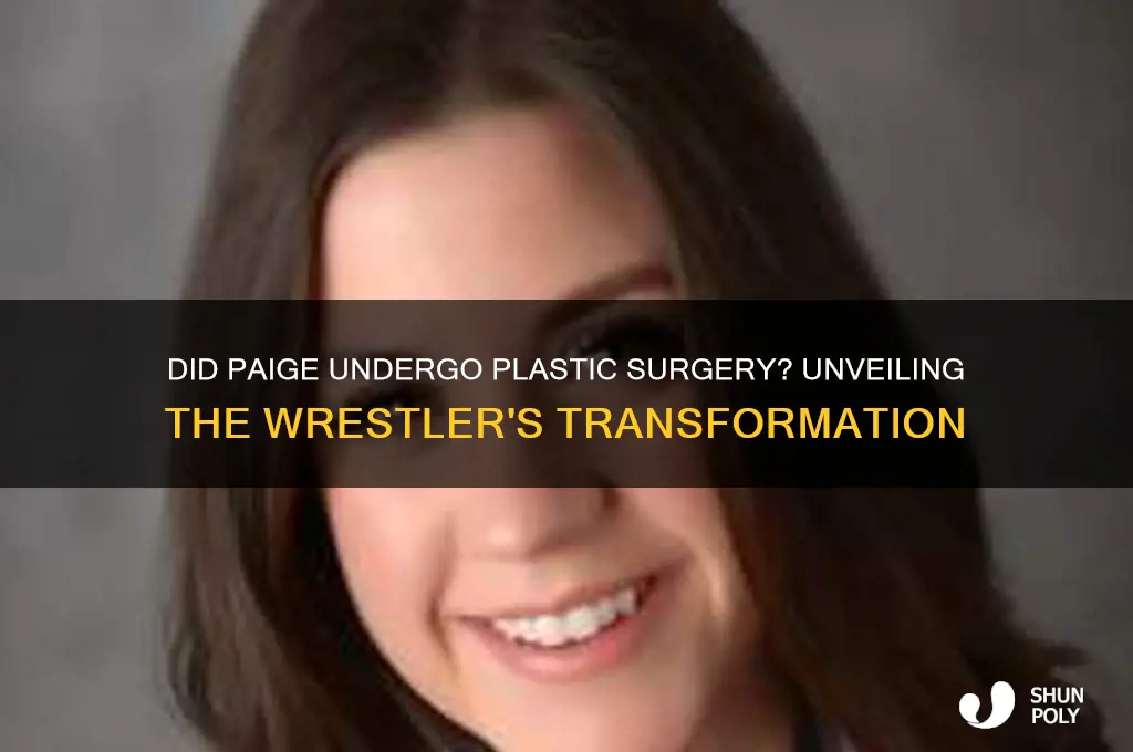 did wrestler paige have plastic surgery