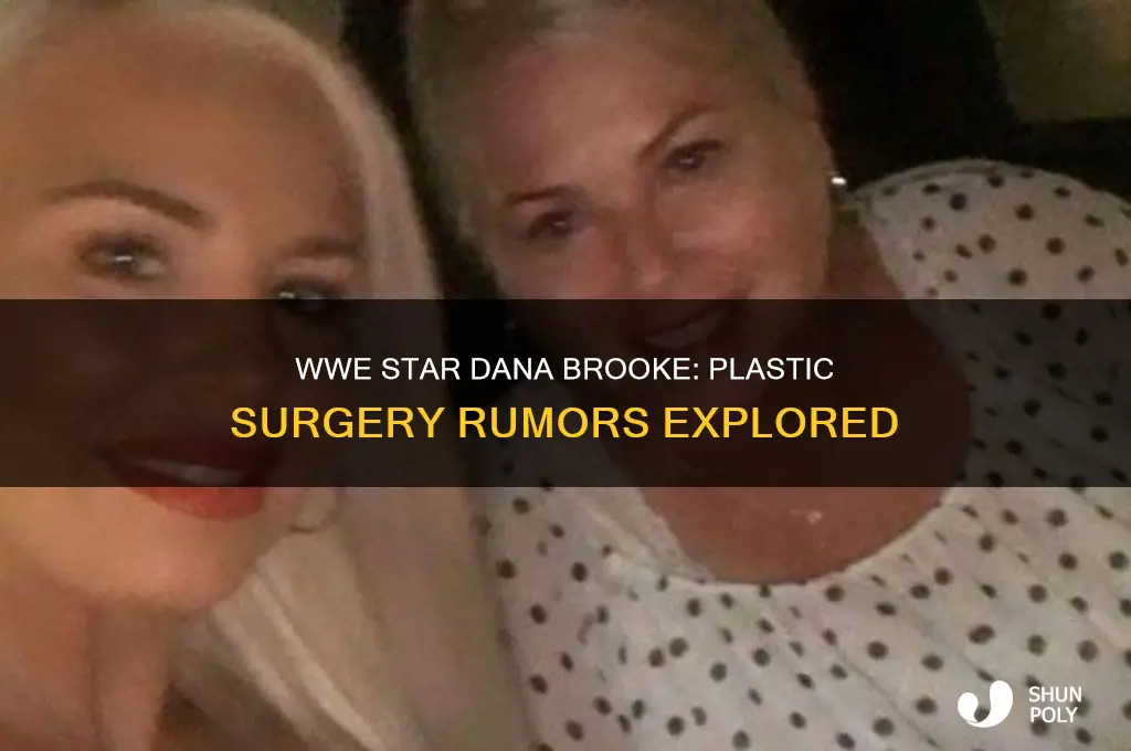 did wwe dana brooke have plastic surgery