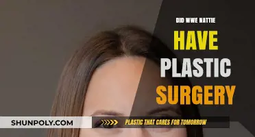 WWE Star Nattie's Plastic Surgery Speculations: Fact or Fiction?