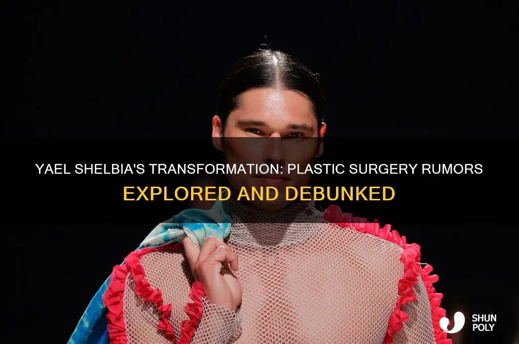 did yael shelbia get plastic surgery