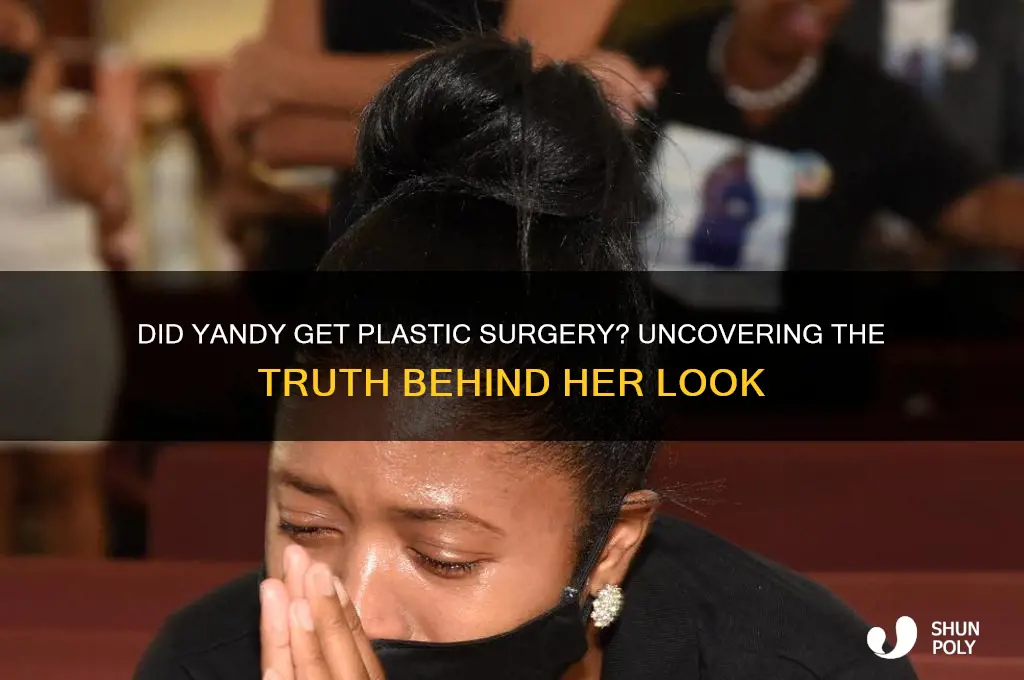 did yandy have plastic surgery
