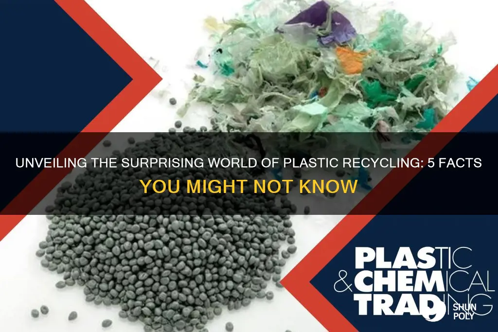 did you know facts about recycling plastic