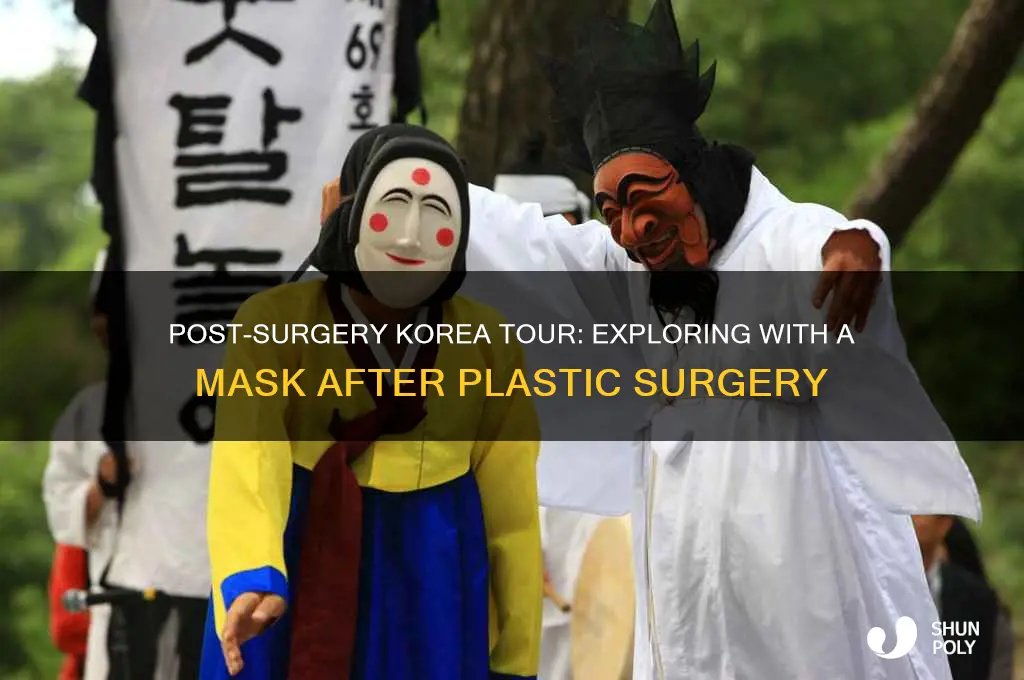did you tour korea after plastic surgery with mask