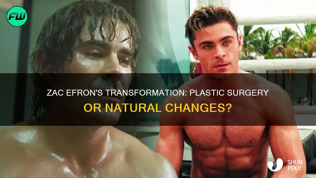 did zac efron have plastic sergey