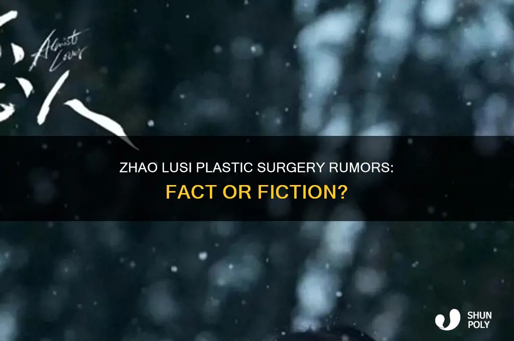 did zhao lusi get plastic surgery