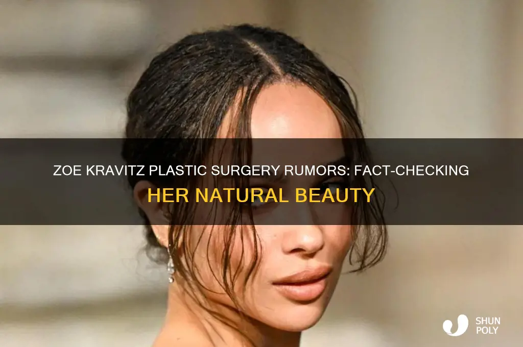did zoe kravitz get plastic surgery