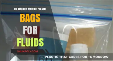 Airlines and Plastic Bags: What's the Deal?