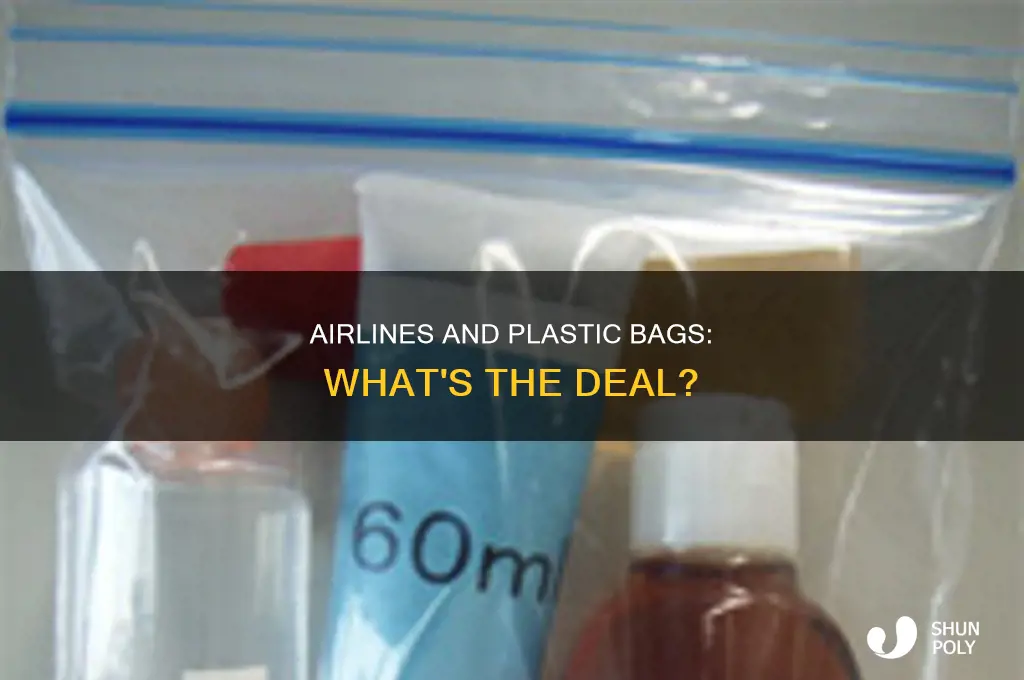 do airlines provide plastic bags for fluids