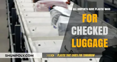 Airports and Plastic Bags: A Traveler's Guide to Packing Liquids