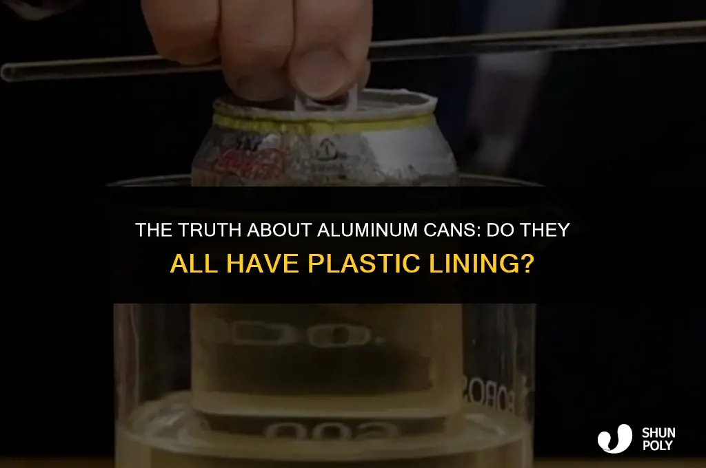 do all aluminum cans have plastic lining
