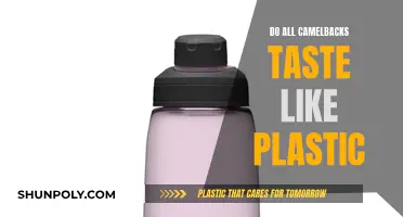 CamelBak Plastic Taste: Fact or Fiction?
