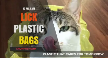 Why Cats Lick Plastic Bags