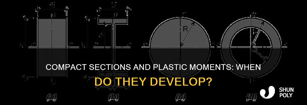 do all compact section develop plastic moment