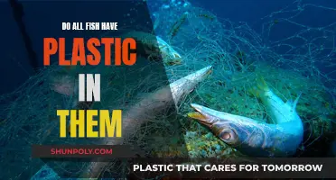 Plastic in Fish: Is Any Seafood Safe?