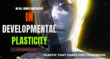 How Genes Drive Developmental Plasticity