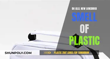 Plastic Smell in New Lunchboxes: Why and How to Remove It