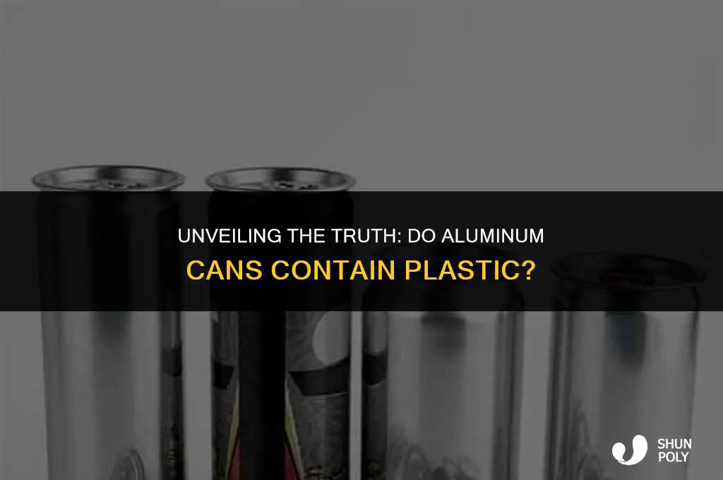 do aluminum cans have plastic