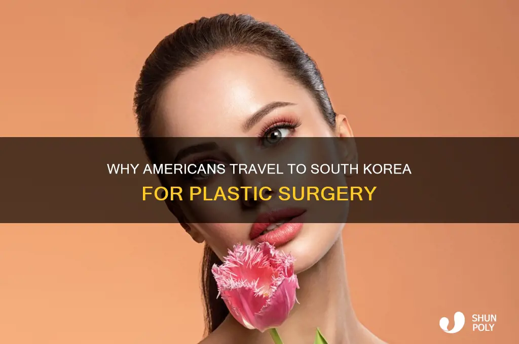do americans get plastic surgery in south korea