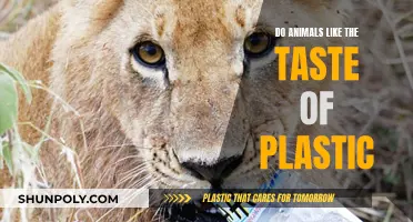 Animals and Plastic: A Strange Taste Attraction