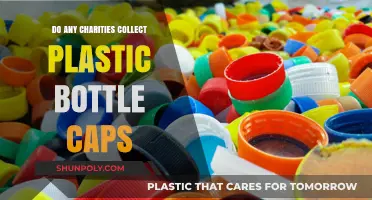 Plastic Bottle Caps: Which Charities Accept Them for Recycling?