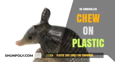 Do Armadillos Chew on Plastic? Unraveling the Mystery