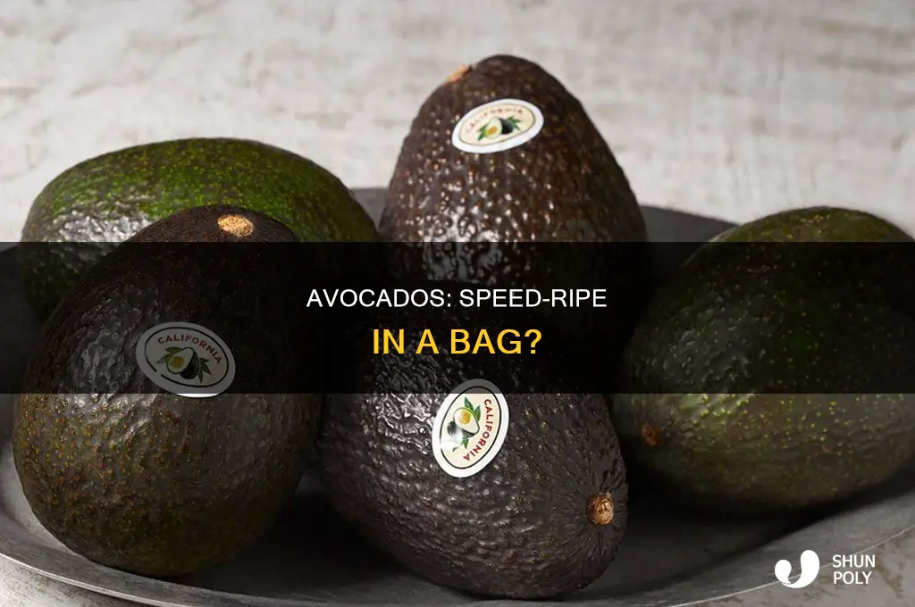 do avocados ripen faster in a plastic bag