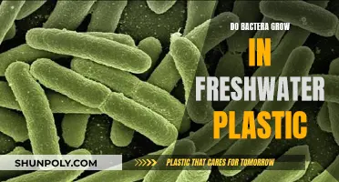 The Dark Side of Plastic: Freshwater Bacteria Growth