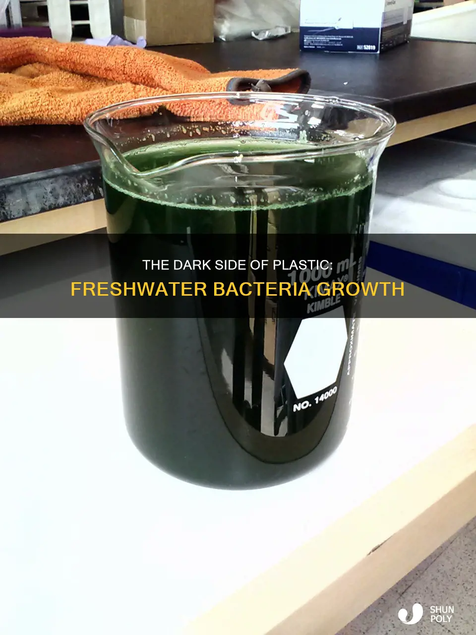 do bactera grow in freshwater plastic